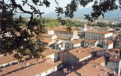 Lucca rooftops picture